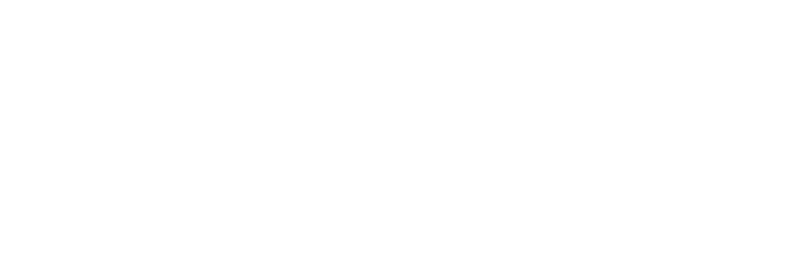 TaylorTrip_logo_blanc